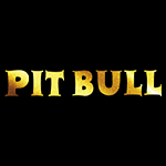 Pit Bull